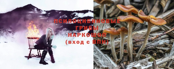 2c-b Абдулино