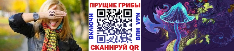 kraken ONION  Невельск  это официальный сайт  Галлюциногенные грибы Psilocybe 